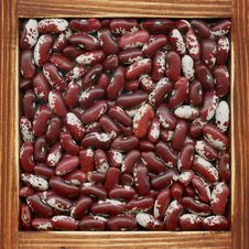 Kidney Beans Stock Image Kidney Beans Stock Image