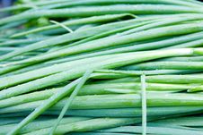 Fresh Green Onions Stock Photos Fresh Green Onions Stock Photos