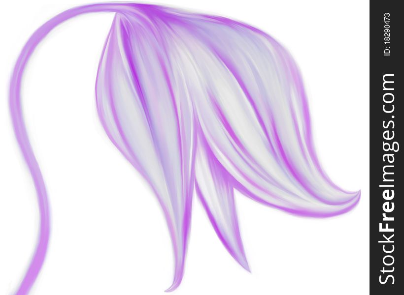 Tender violet flower illustration, hand drawn flower closeup, tint of violet, spring style