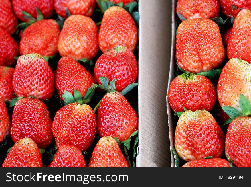 Strawberries in boxes for sale. Strawberries in boxes for sale.