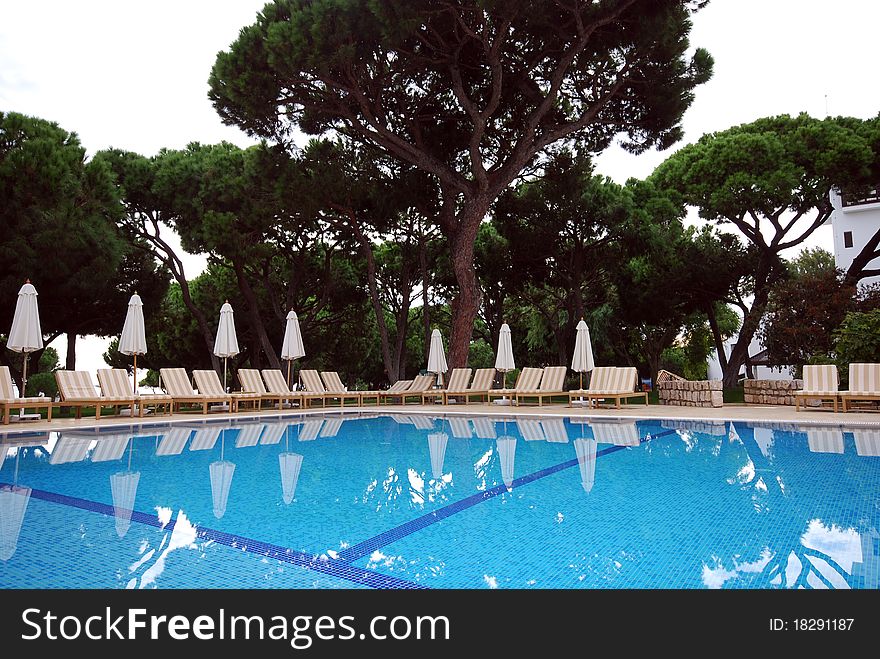 Swimming Pool And A Beautiful Pines