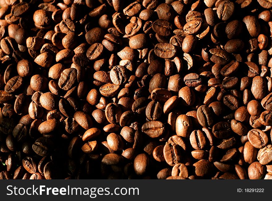 Coffee beans in the sunlight. Coffee beans in the sunlight