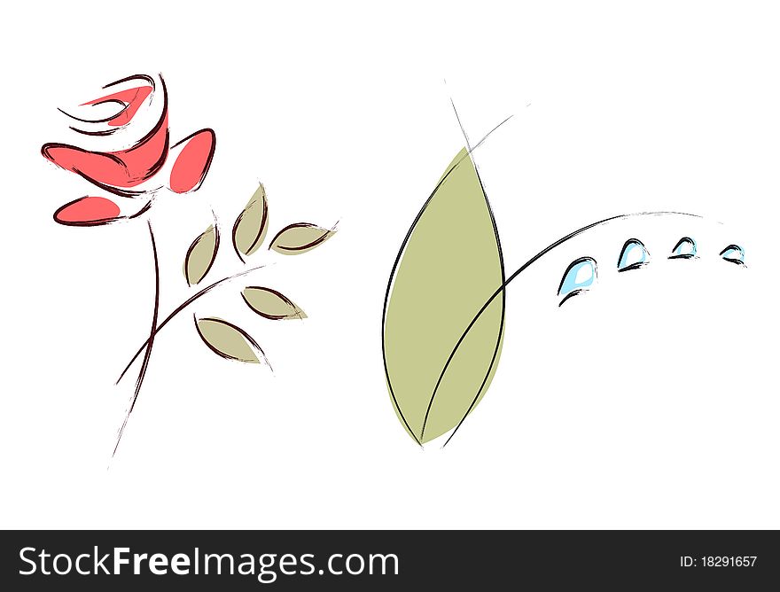 Drawings of flowers on white background