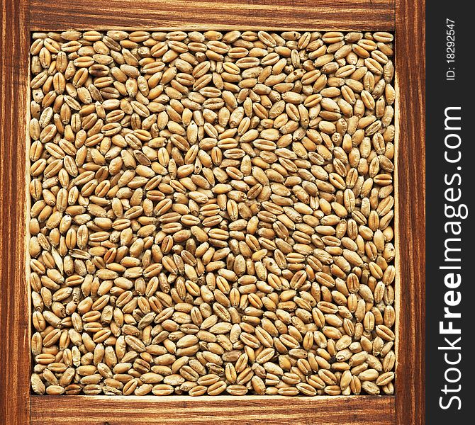 Wheat, collection of loose products