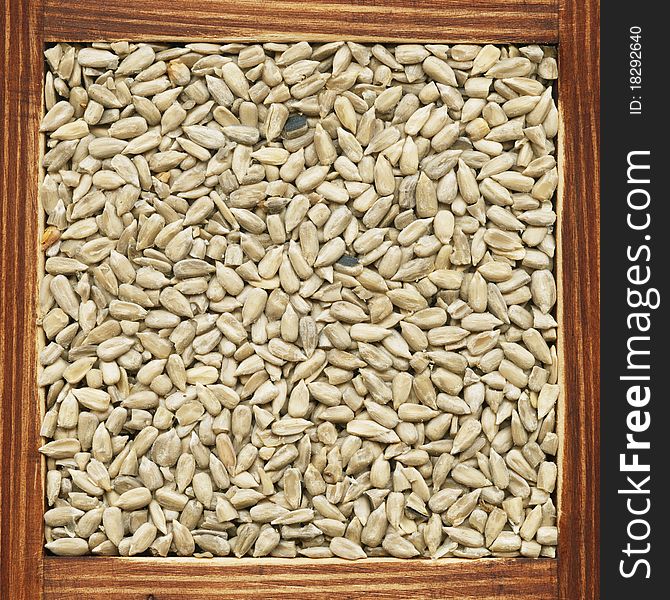Sunflower seeds, collection of loose products