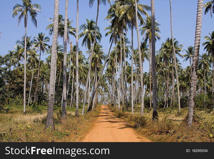 Ground road in jungle , Thailand