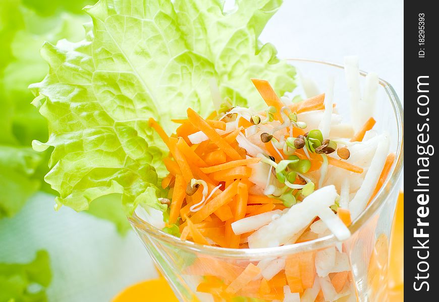 Fresh vegetables salad with sprouts. Fresh vegetables salad with sprouts