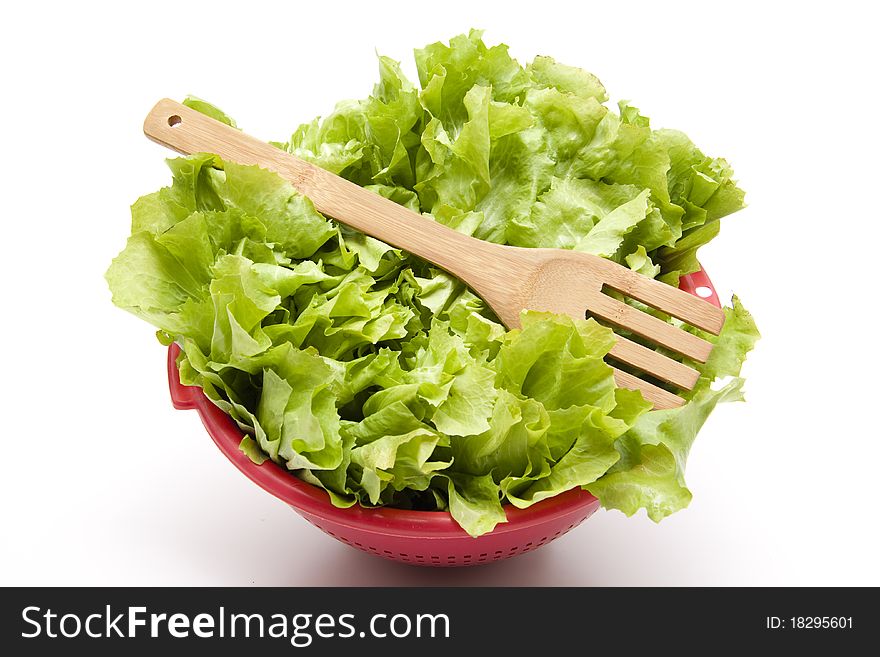 Endives salad in the sieve