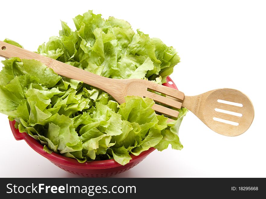 Endives salad in the sieve with cook spoon
