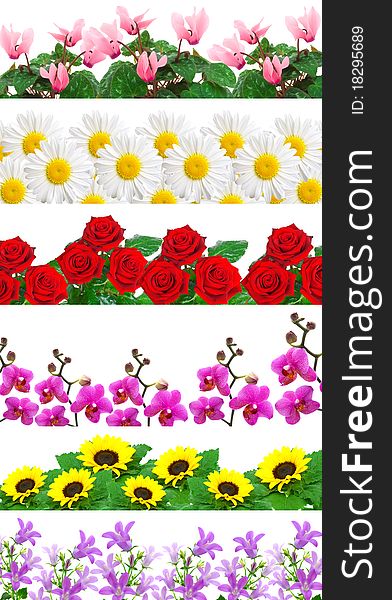 Set of flowers background, isolated on a white background