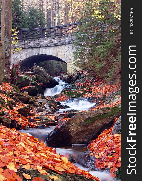 Autumn wild river flowing under a stone bridge