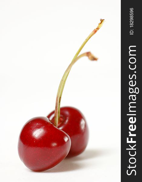 Cherry on a white Background