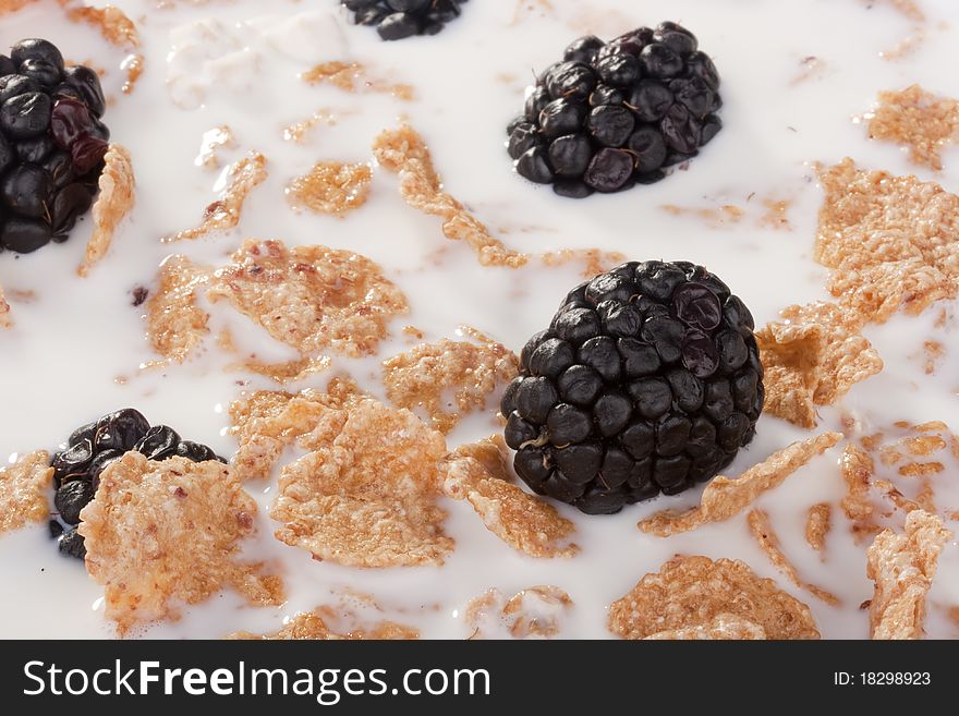 Light morning meal from cereals with berries of a blackberry and milk, in a coffee cup. Light morning meal from cereals with berries of a blackberry and milk, in a coffee cup.
