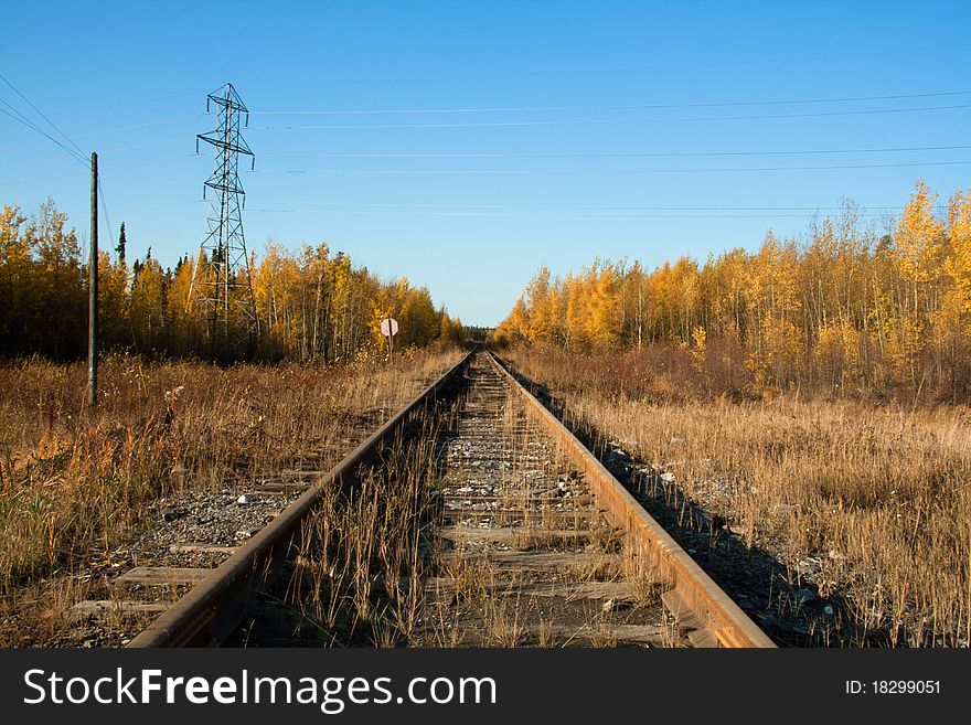 Railway train with blue sky and trees