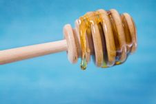 Honey Stock Images Honey Stock Images