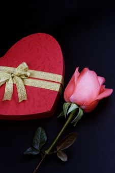 Pink Rose With Gift Box Stock Photography Pink Rose With Gift Box Stock Photography
