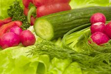 Green And Red Vegetables Stock Image Green And Red Vegetables Stock Image