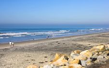 Torrey Pines Beach, California Stock Images Torrey Pines Beach, California Stock Images