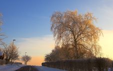 Warm Winter Royalty Free Stock Photography Warm Winter Royalty Free Stock Photography
