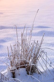 Warm Winterday Royalty Free Stock Photos Warm Winterday Royalty Free Stock Photos