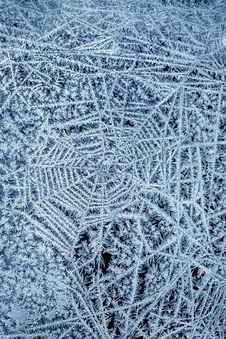 Snowflakes On Glass Royalty Free Stock Photos Snowflakes On Glass Royalty Free Stock Photos