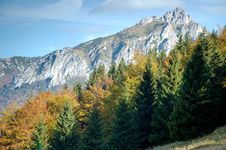 Autumn Summer Hill Royalty Free Stock Photos Autumn Summer Hill Royalty Free Stock Photos