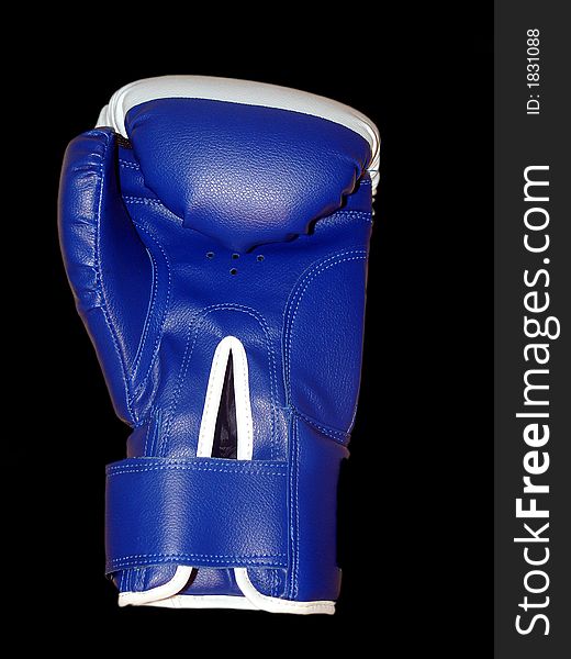 The boxing glove (blue and white). The boxing glove (blue and white)