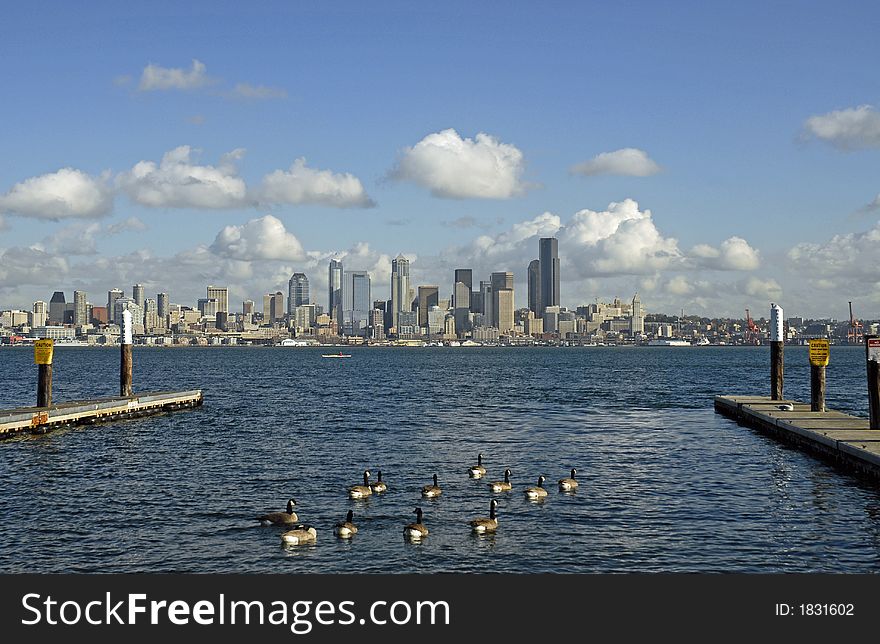 Downtown Seattle from West Seattle. Downtown Seattle from West Seattle