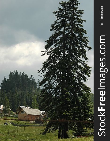 Beautiful lanscape from Transilvania, Romania and Dracula's Castel. Beautiful lanscape from Transilvania, Romania and Dracula's Castel