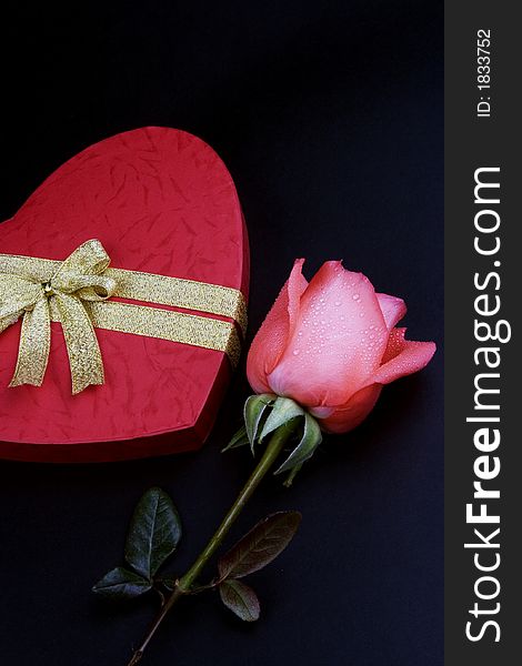 Pink rose with red love shape gift box. Pink rose with red love shape gift box.