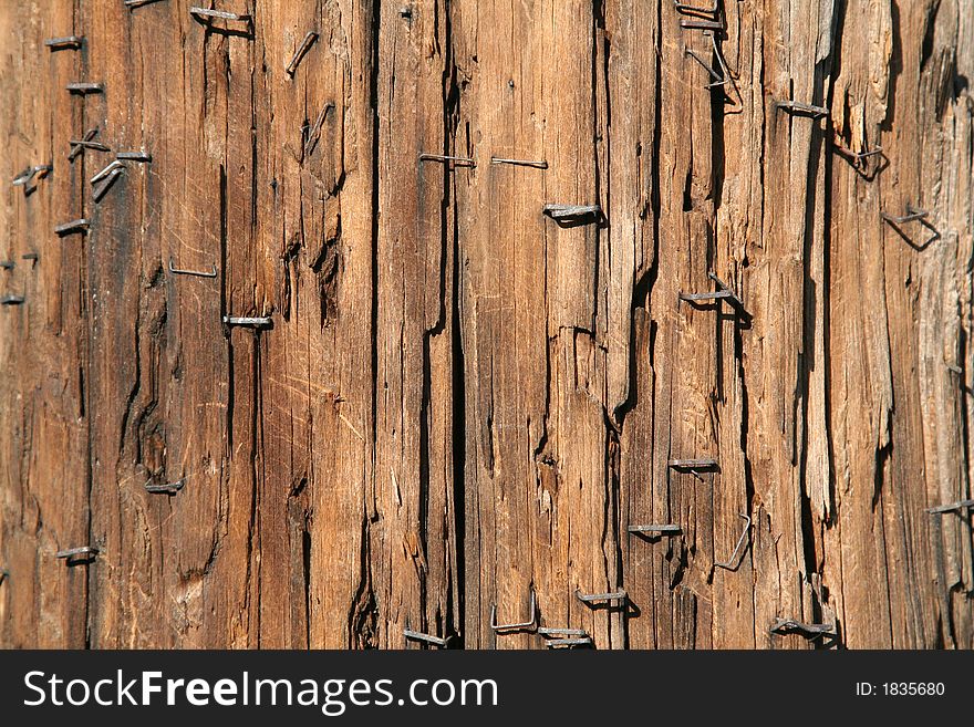 Wood texture old telegraph column.