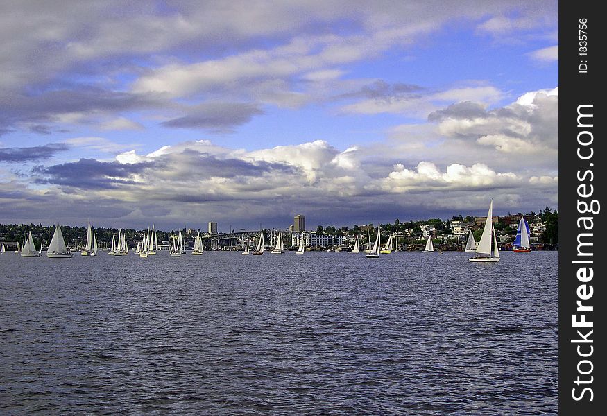 Sailboats in the Duck Dodge Race on Lake Union in Seattle, WA. Sailboats in the Duck Dodge Race on Lake Union in Seattle, WA