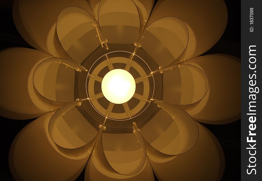 Flower shaped white chandalier view from the bottom