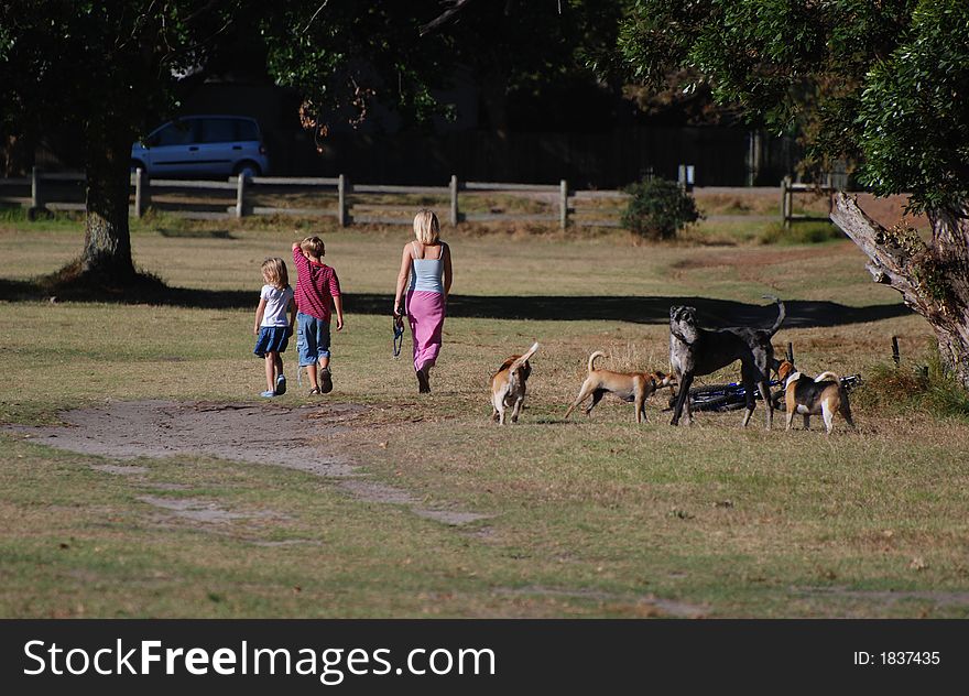 Family with dogs enjoys walk on open field. Family with dogs enjoys walk on open field