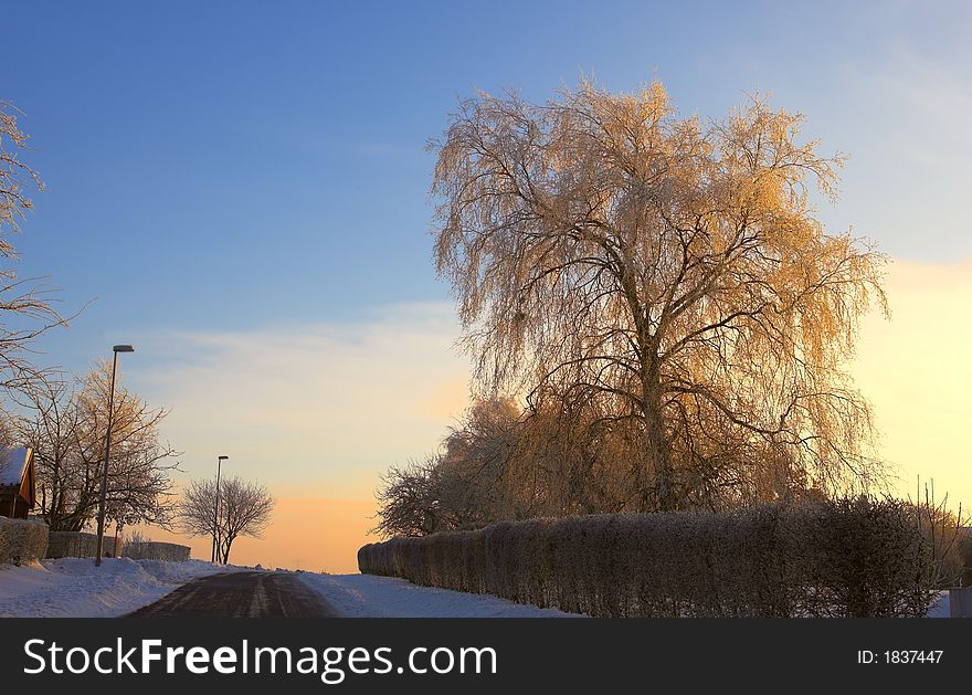 Photo of warm sunset on a cold winterday. Photo of warm sunset on a cold winterday