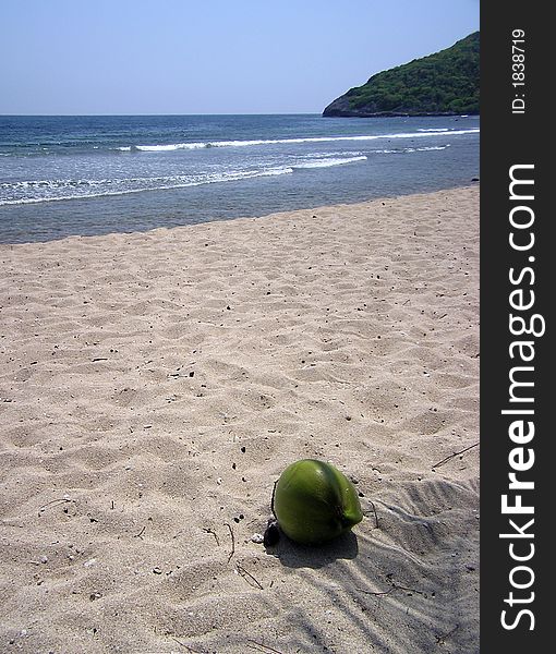 A single coconut rests in the shade of a palm tree along the sandy shore in Labadee, Haiti. A single coconut rests in the shade of a palm tree along the sandy shore in Labadee, Haiti