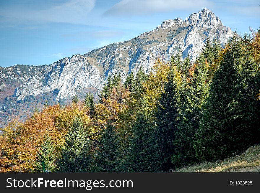 Autumn summer hill Landscape, colourful - Mala Fatra Slovakia