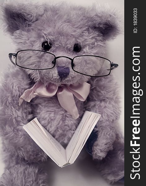 Sitting and reading teddy bear with glasses on the nouse looking at the camera