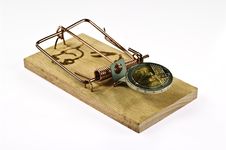 Mouse Trap Stock Photo