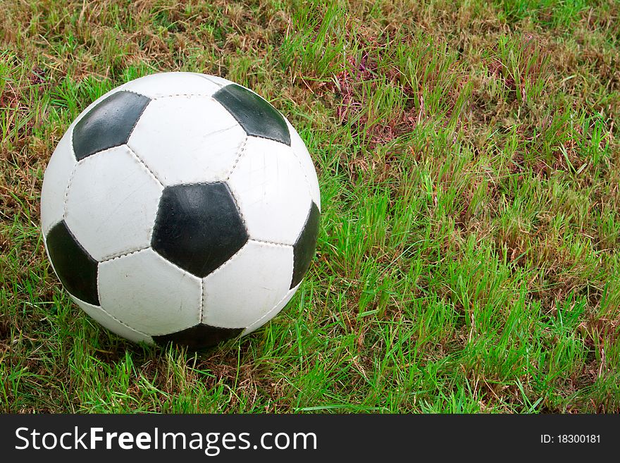 Soccer ball on the green grass, sports item