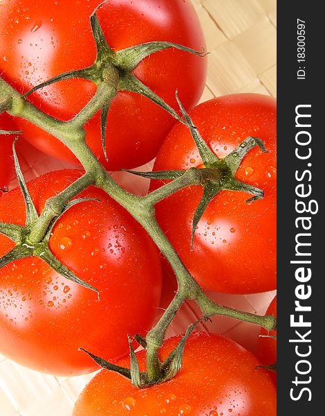 Ripe tomato branch with drops of water