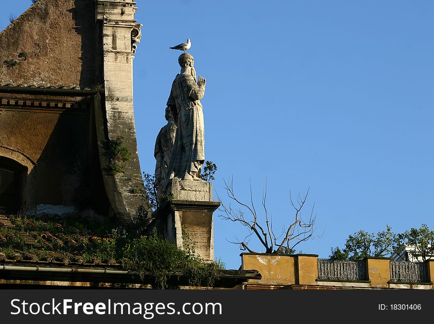 Details of the roof of a church in Rome, over the statue of a saint there's a seagull. Details of the roof of a church in Rome, over the statue of a saint there's a seagull