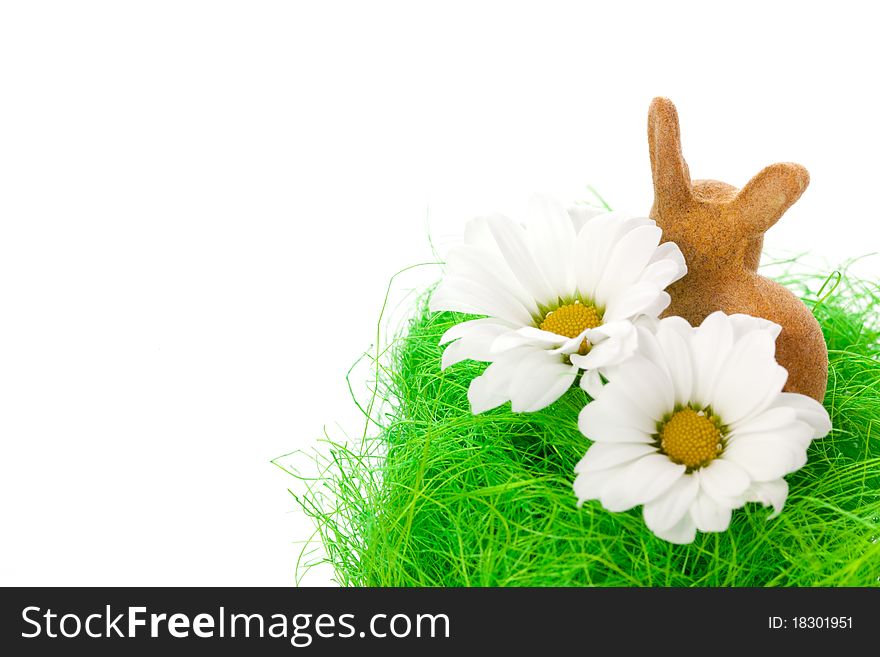 Easter bunny and blossom isolated on white background