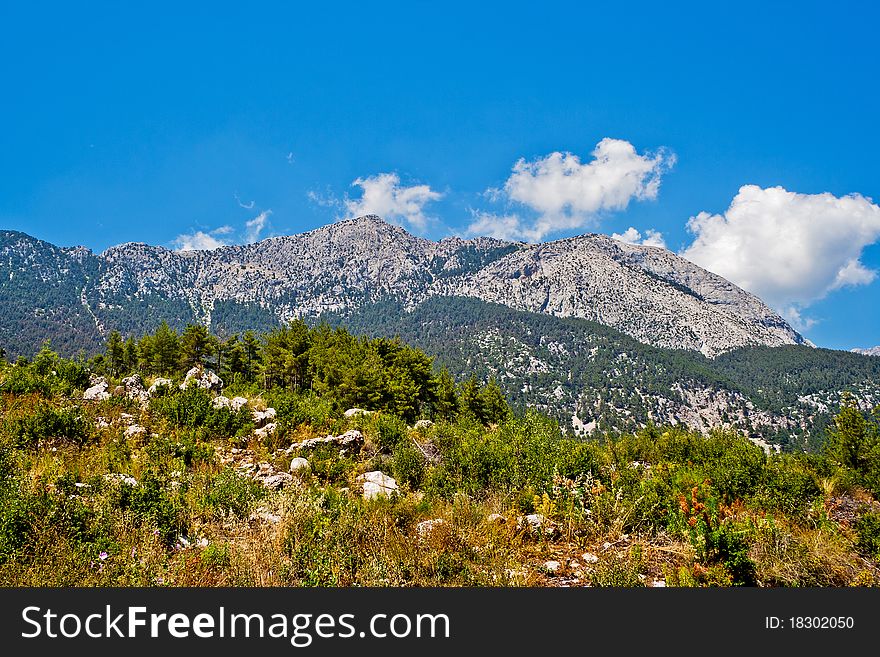 Rocks and trees of the Taurus Mountains. Turkey. Rocks and trees of the Taurus Mountains. Turkey.