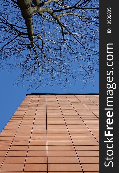 Wall of building on blue sky, with tree. Wall of building on blue sky, with tree