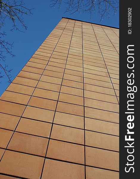Wall of building on blue sky, with tree. Wall of building on blue sky, with tree