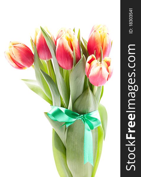 Tulips bouquet with ribbon isolated on white background. Tulips bouquet with ribbon isolated on white background