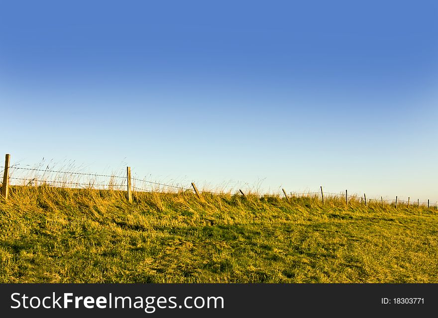 barbed wire fence on the edge of a field. barbed wire fence on the edge of a field