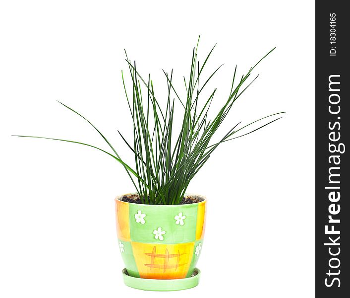 A flowerpot, isolated on white