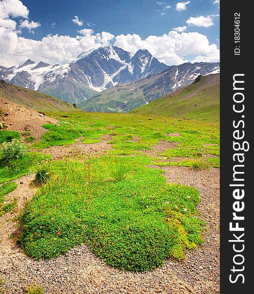 Green meadow on background of the mountains with white cloud. Composition of the nature